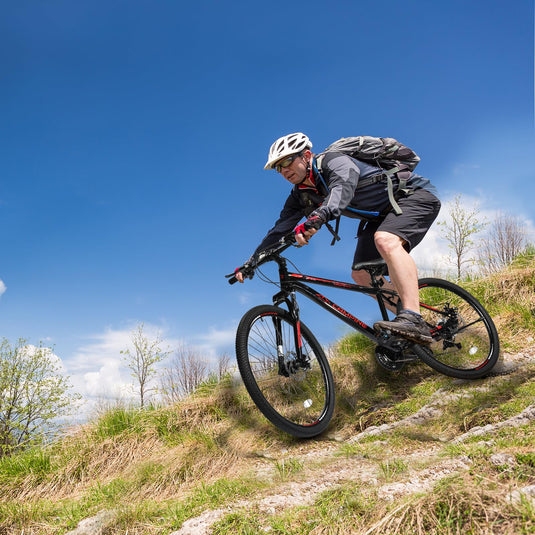 27.5" Adult 21-Speed Mountain Bike with Double Disc Brake